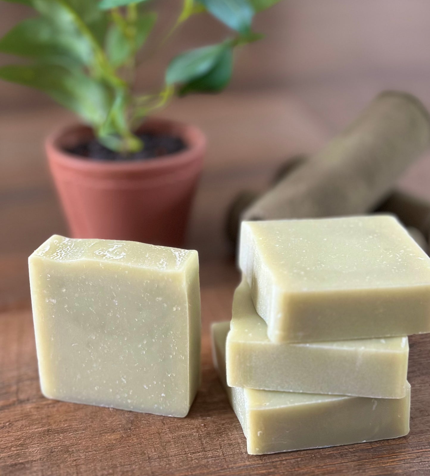 Pine + Sandalwood